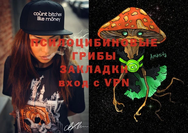 дживик Пестово