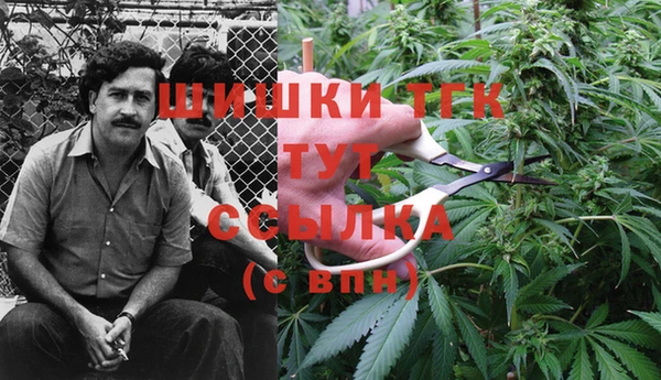 твердый Балахна