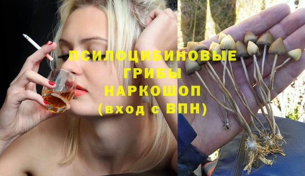 твердый Балахна