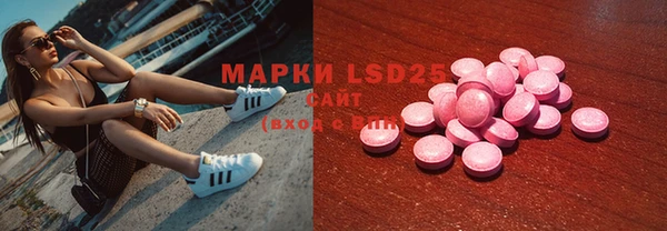 хмурый Аркадак